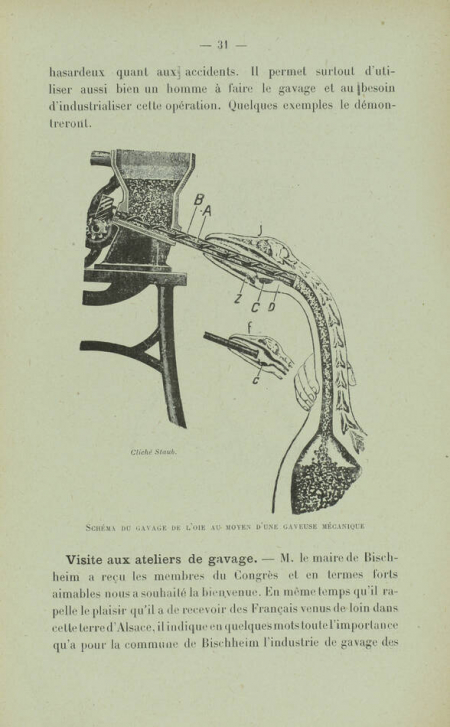 VERDIE (M. H.). Une mission d'études des éleveurs d'oies du Sud-Ouest en Alsace. Chemin de fer de Paris à Orléans, livre rare du XXe siècle