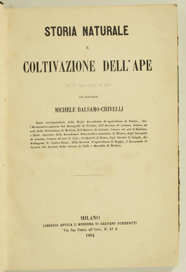 [Apiculture] BALSAMO-CRIVELLI - Storia naturale e coltivazione dell ape - 1864 - Photo 0, livre rare du XIXe siècle