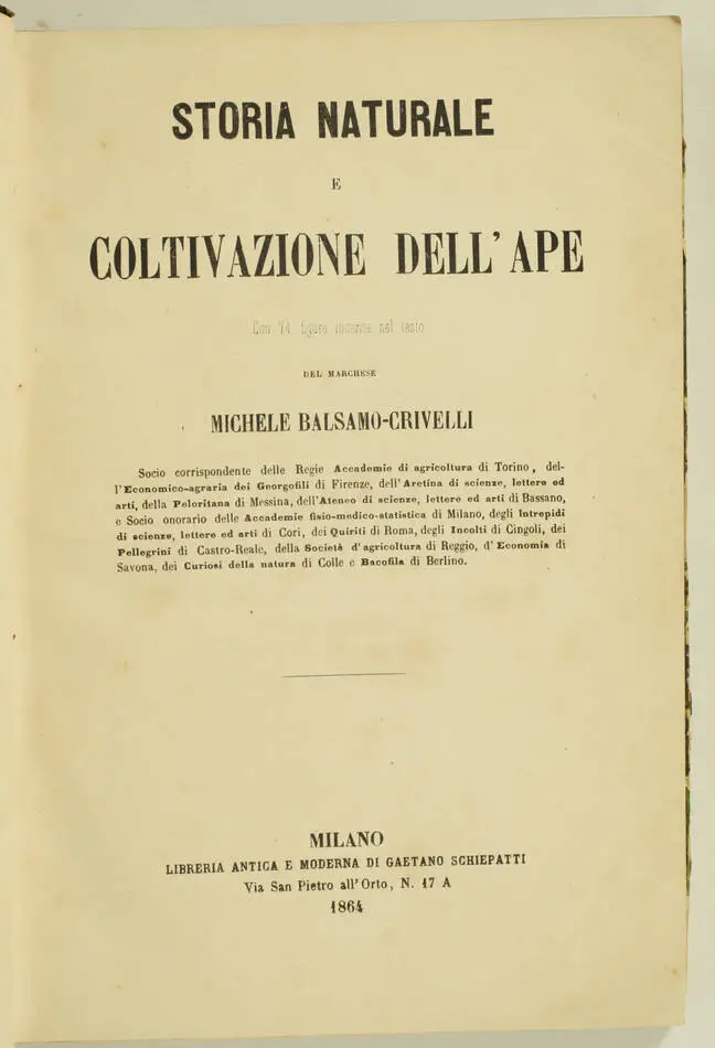 [Apiculture] BALSAMO-CRIVELLI - Storia naturale e coltivazione dell ape - 1864 - Photo 0, livre rare du XIXe siècle