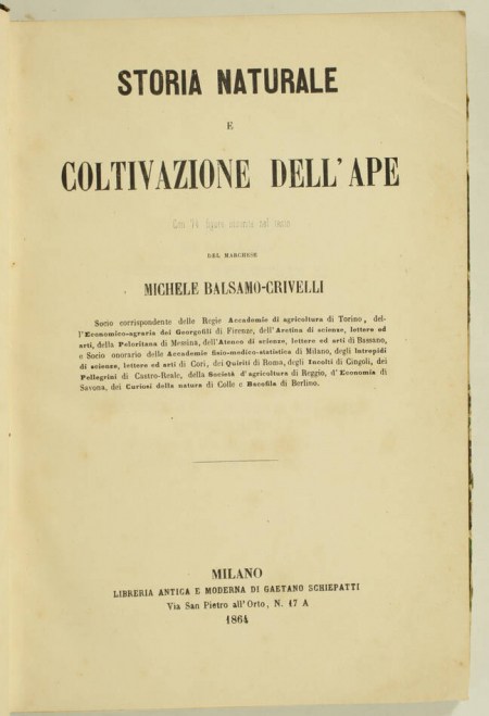 BALSAMO-CRIVELLI (Marchese Michele). Storia naturale e coltivazione dell'ape, livre rare du XIXe siècle