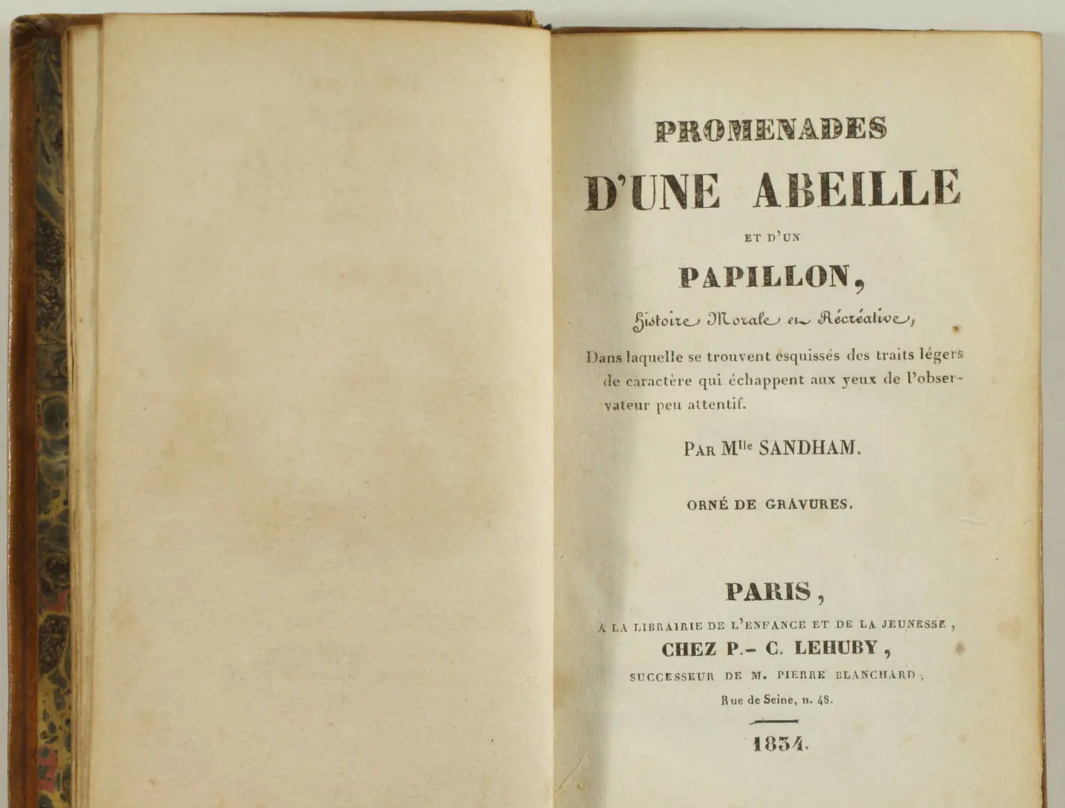 [Enfantina] SANDHAM - Promenades d une abeille et d un papillon - 1834 - Photo 2, livre rare du XIXe siècle